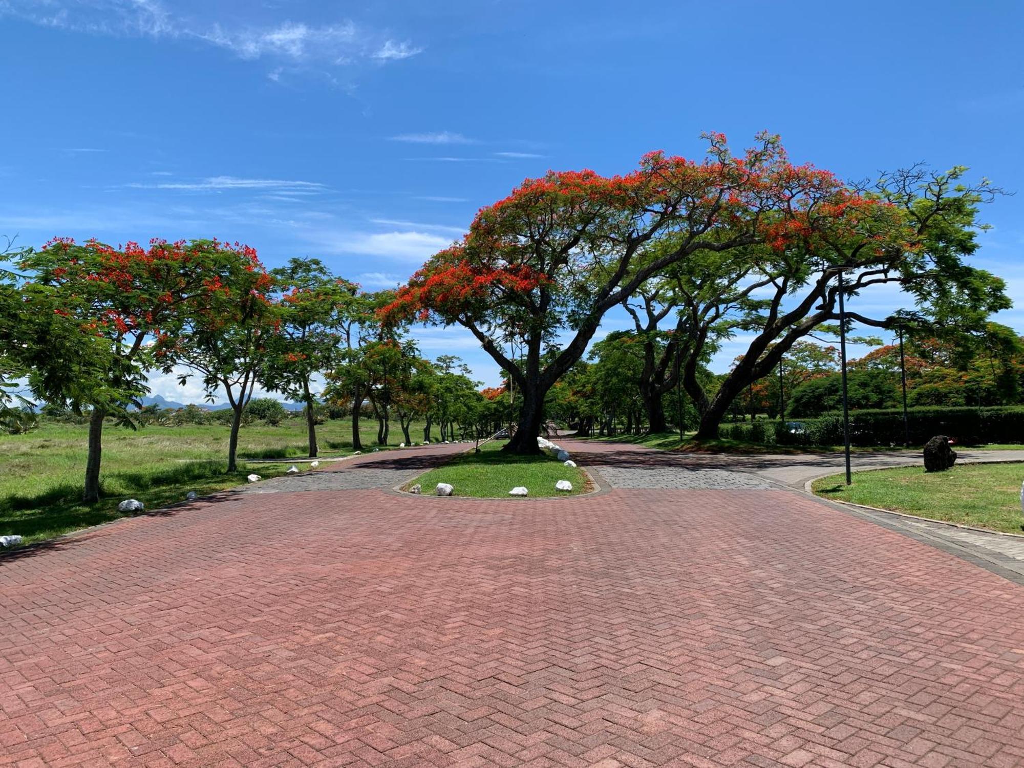 Palm Creek Villa モン・ショワジー エクステリア 写真